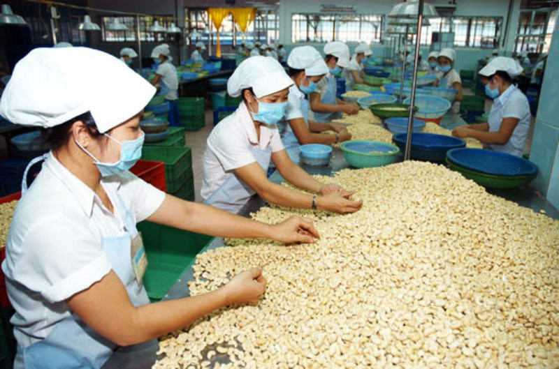 Thủ Tướng Chỉ Đạo Khẩn Trương Tháo Gỡ Khó Khăn Cho Doanh Nghiệp Xuất Khẩu Điều Sang Châu Âu